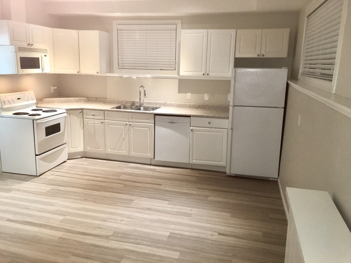 Edmonton South East One Bedroom Basement Suite For Rent Ad Id