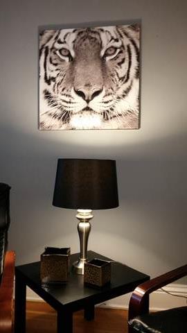 Windsor Ontario Apartment for rent, click for details...