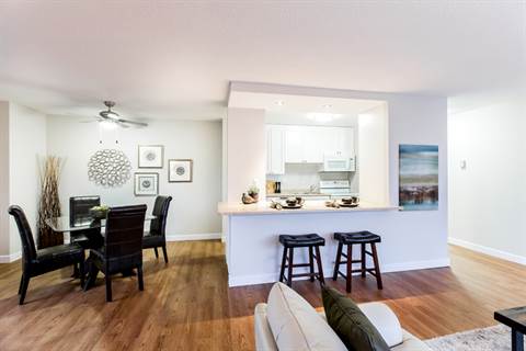 Apartment For Rent Edmonton Downtown