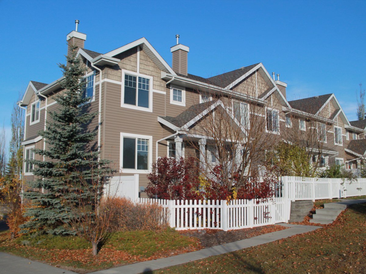 Ts4rent colorado