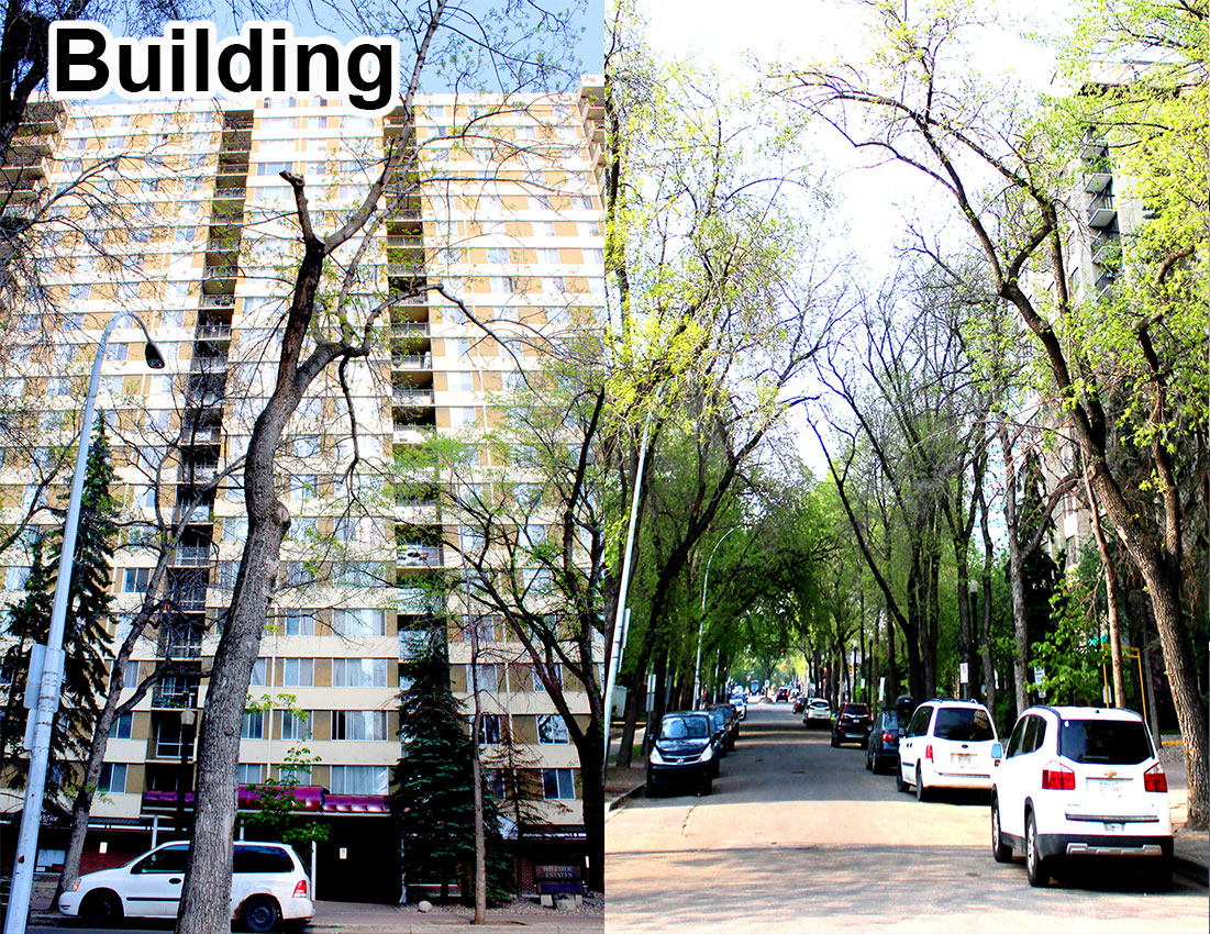 2 bedrooms Edmonton Downtown Condominium for rent Ad ID